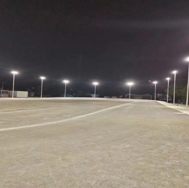 026513113113113113113113113131131313131313131313131313131300 laman